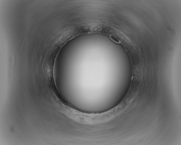 X0000112540039200908171452