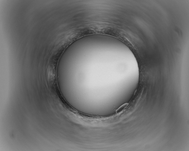 X0000112540040200908171452