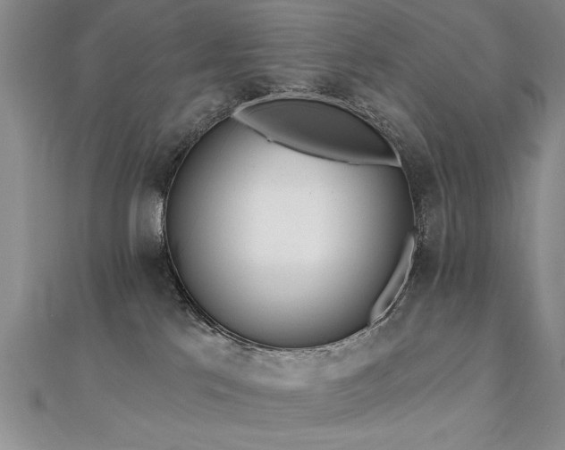 X0000112540041200908171452