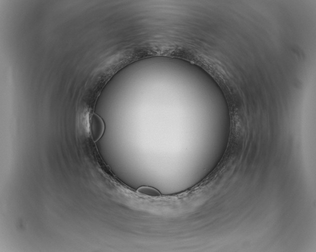 X0000112540042200908171452
