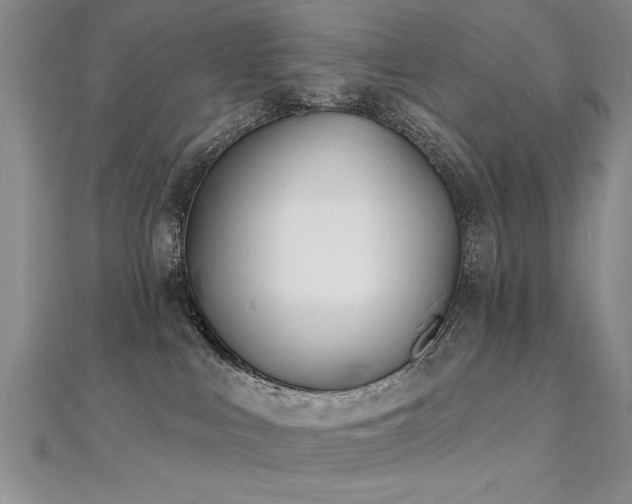 X0000112540043200908171452