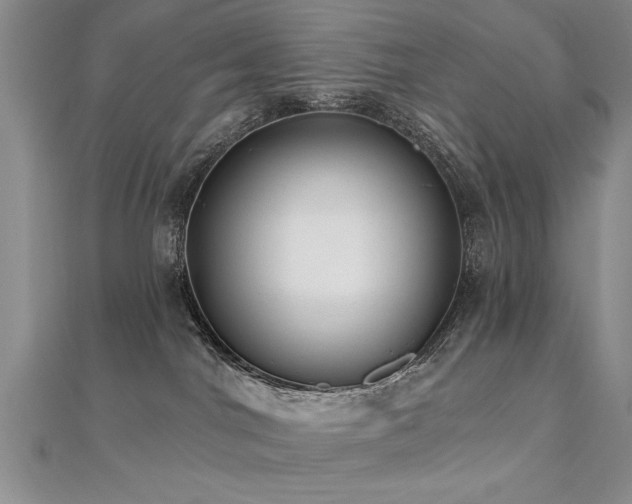 X0000112540044200908171452