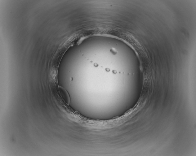 X0000112540045200908171452