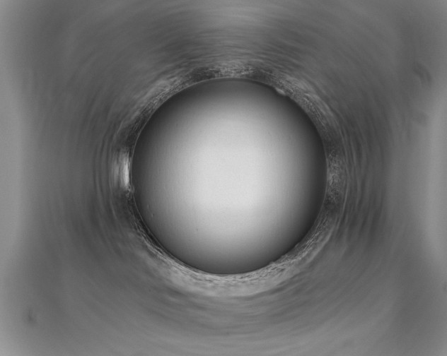 X0000112540046200908171452