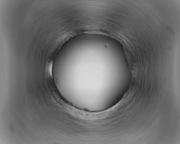 X0000112540047200908171452