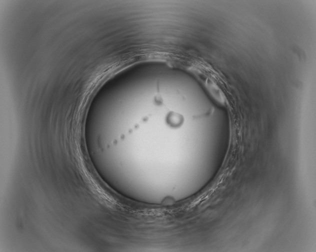 X0000112540049200908171451