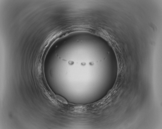 X0000112540050200908171451