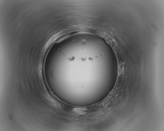 X0000112540051200908171451