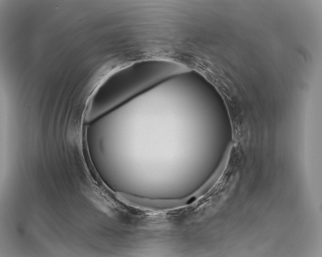 X0000112540052200908171451