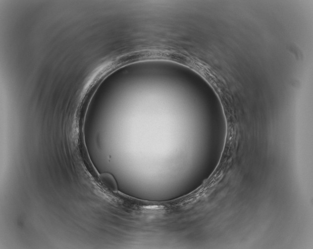 X0000112540053200908171451