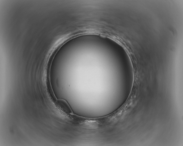 X0000112540055200908171451