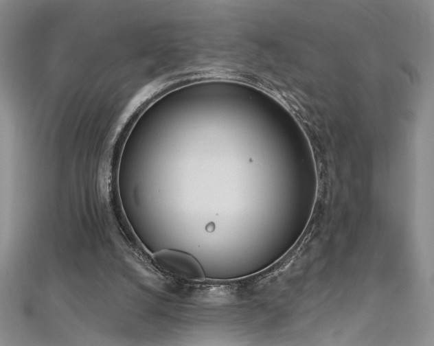 X0000112540056200908171451