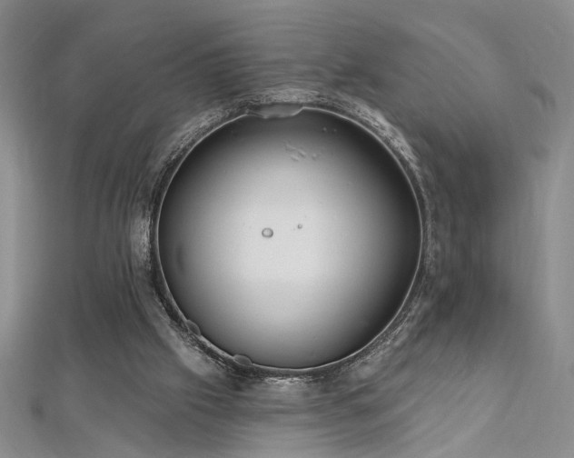 X0000112540057200908171451