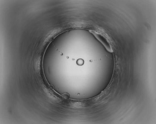 X0000112540058200908171451