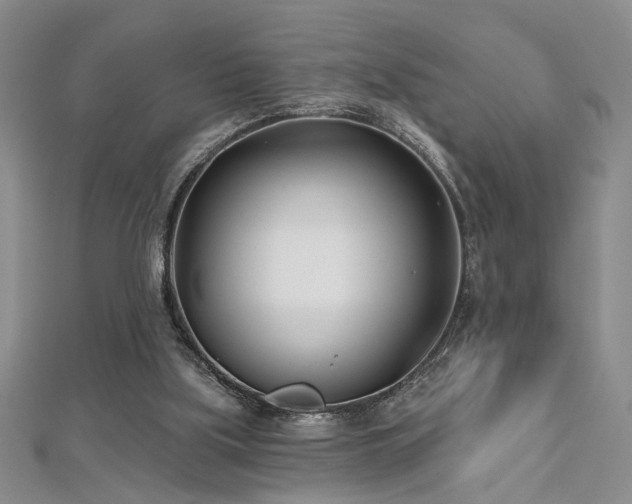 X0000112540059200908171451