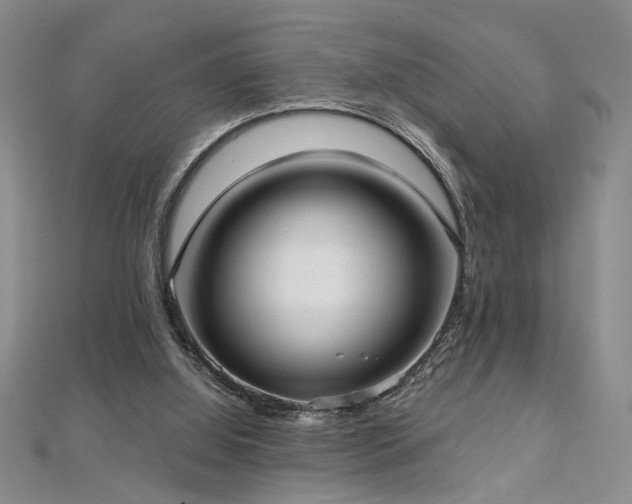 X0000112540060200908171451