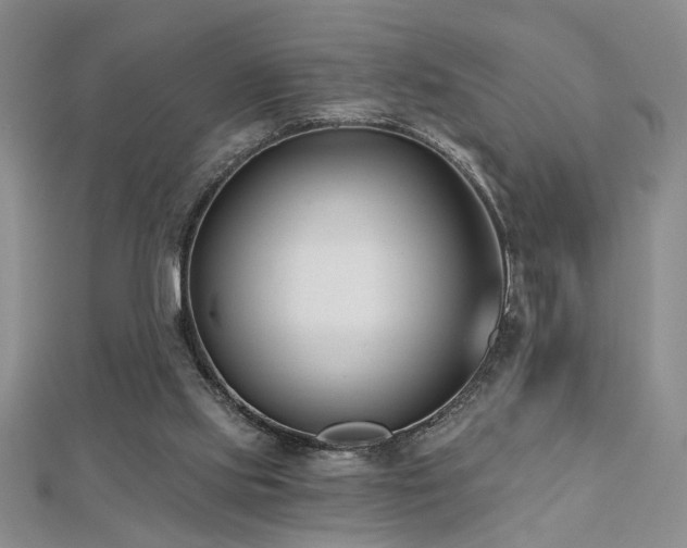 X0000112540061200908171451