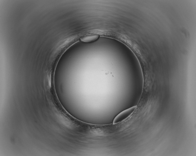 X0000112540062200908171451