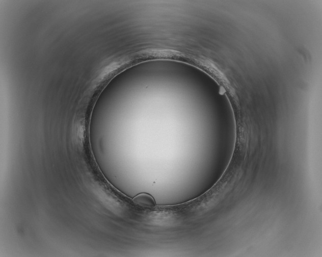 X0000112540063200908171451