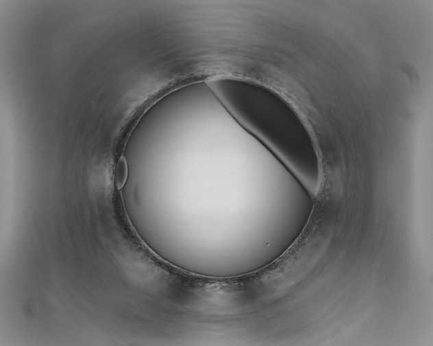 X0000112540064200908171451