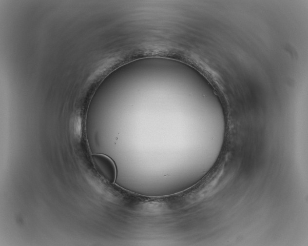 X0000112540067200908171451