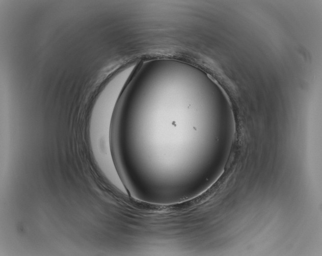 X0000112540068200908171452