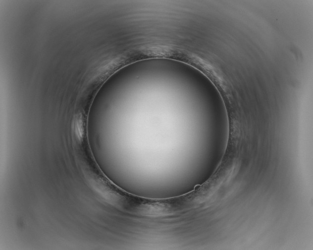 X0000112540069200908171452