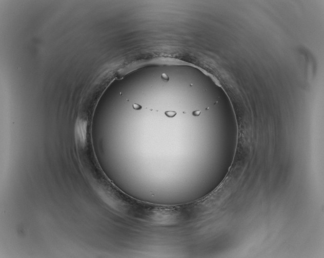 X0000112540070200908171452