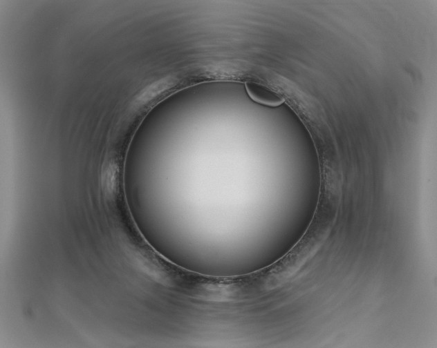 X0000112540071200908171452