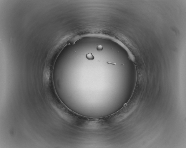 X0000112540072200908171452
