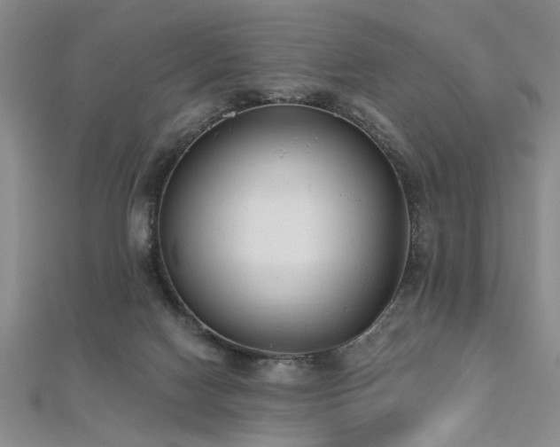 X0000112540074200908171452