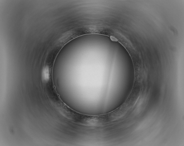 X0000112540075200908171452