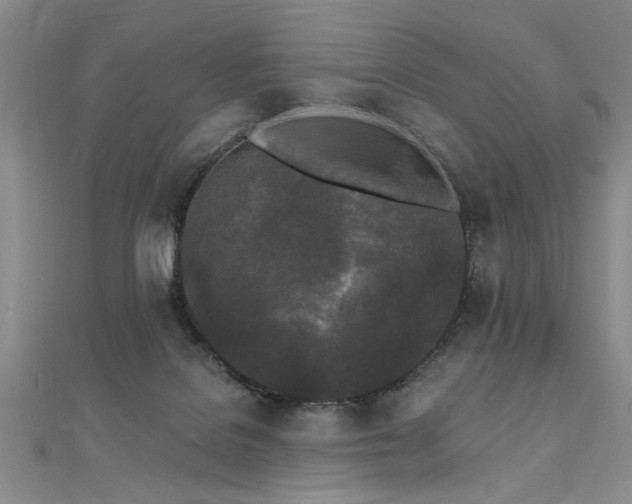 X0000112540076200908171452