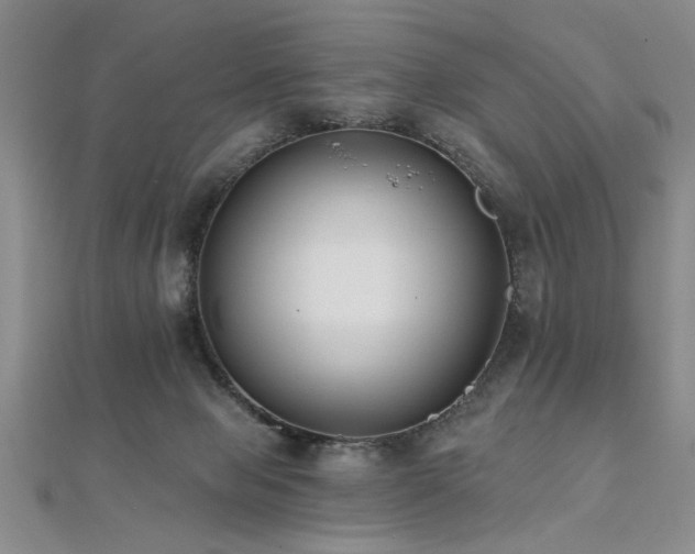 X0000112540077200908171452