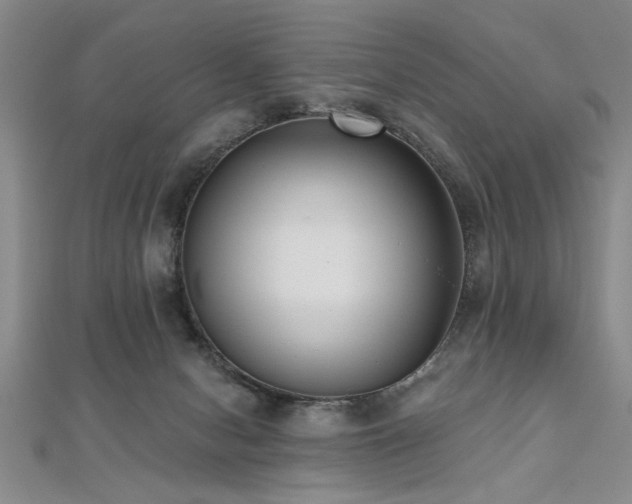 X0000112540078200908171452