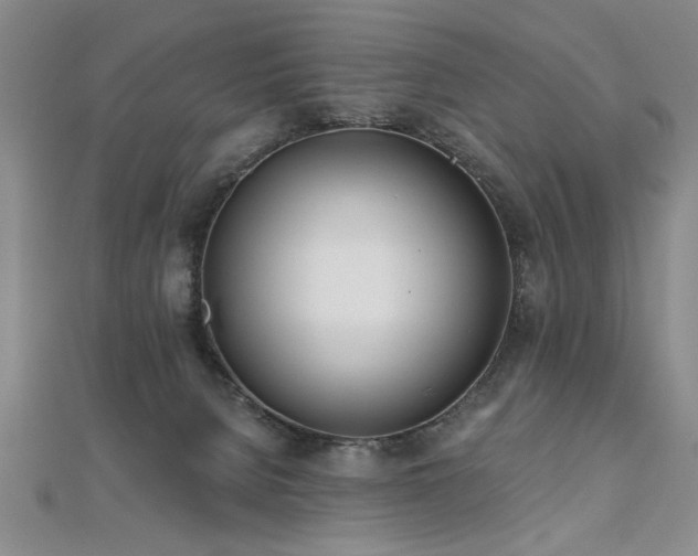 X0000112540080200908171452