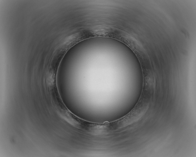 X0000112540081200908171452