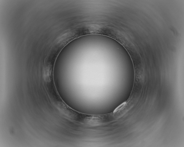 X0000112540082200908171452