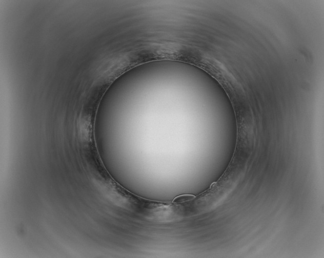 X0000112540083200908171452