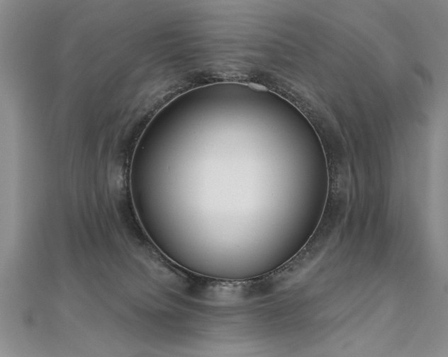 X0000112540084200908171452