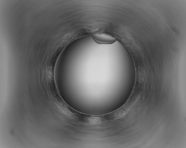 X0000112540085200908171452