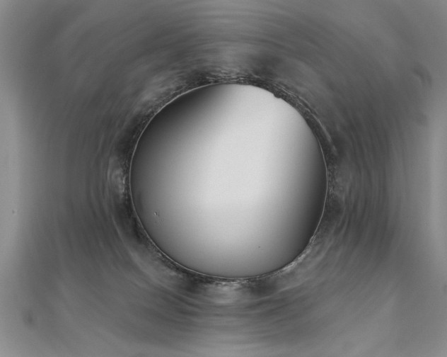 X0000112540086200908171452