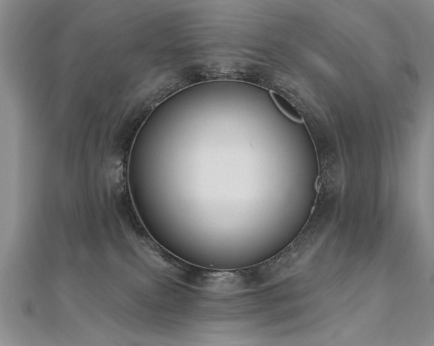 X0000112540087200908171452