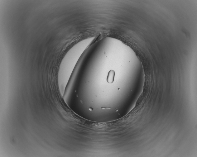 X0000112540088200908171452