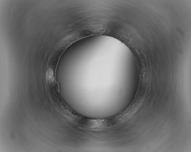 X0000112540089200908171452
