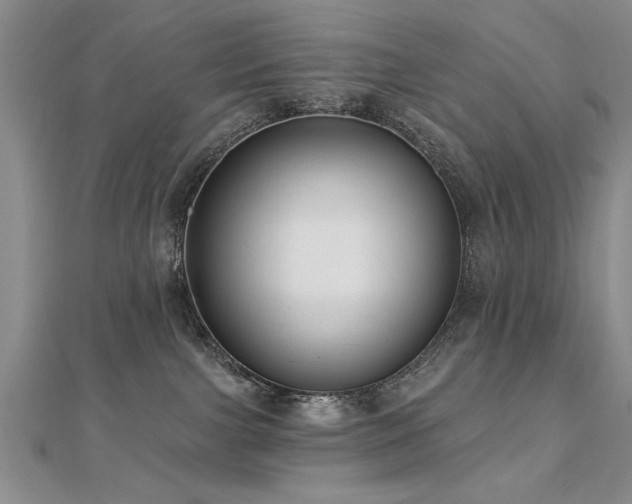 X0000112540091200908171452