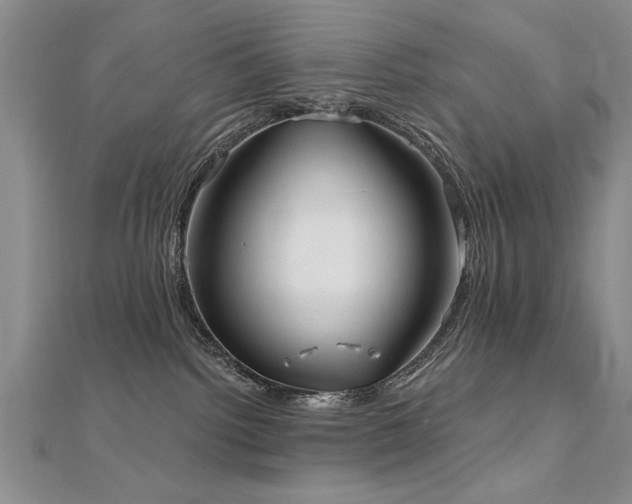 X0000112540092200908171452