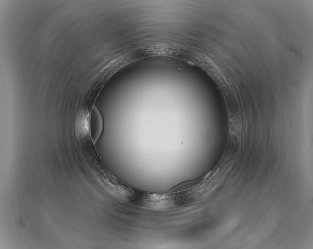 X0000112540095200908171452