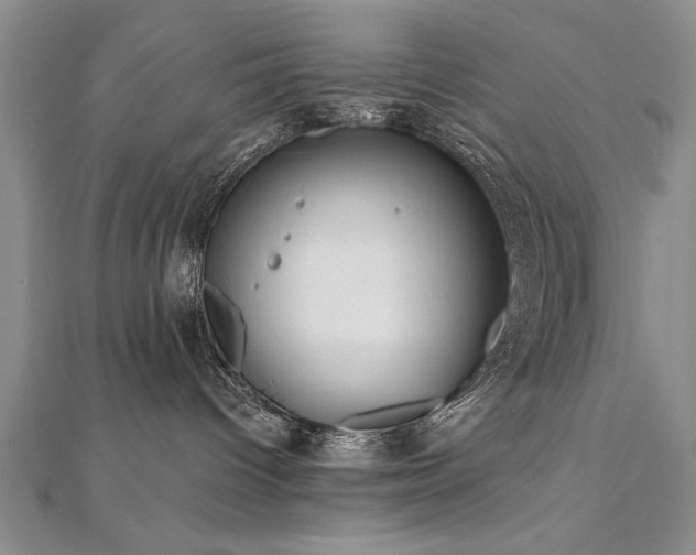 X0000112540096200908171452