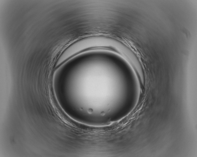 X0000112540097200908171451
